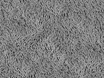 Plain pattern carpet 3d model