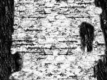 Black and White Bump texture (ID:ffabg93312)