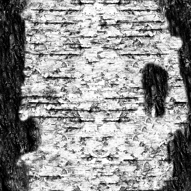 Black and White Bump texture