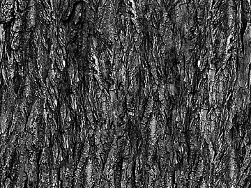 Black and White Bump texture (ID:ffacg58625)