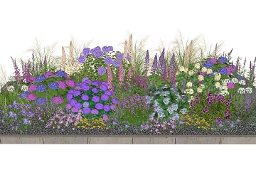 Mixed Color Flower Border Garden Planting texture (ID:ffaeh872436)