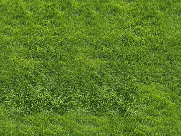 Turf Ground Grass Turf Grass Slope Green Grass texture (ID:ffajh953622)