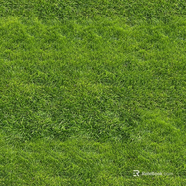 Turf Ground Grass Turf Grass Slope Green Grass texture