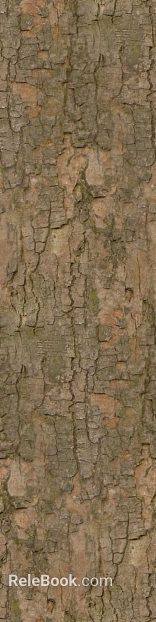Taupe bark natural decoration texture