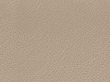 fine grain leather texture (ID:ffajg57786)