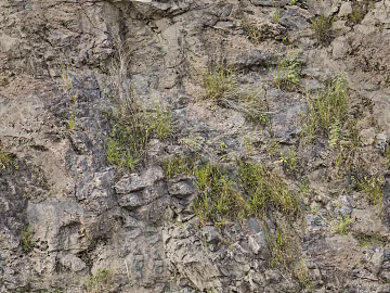 Culture stone long grass rock rubble texture (ID:ffach946900)