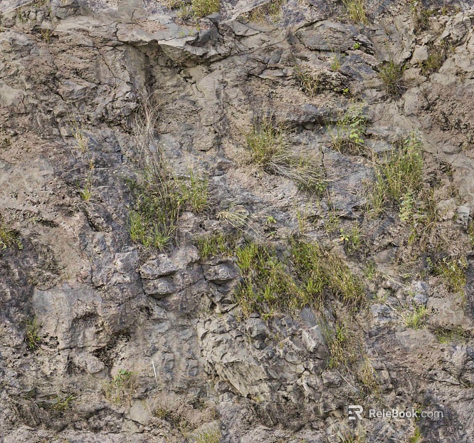 Culture stone long grass rock rubble texture