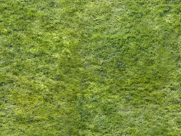 Turf 3d model