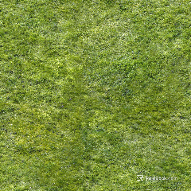 Turf texture