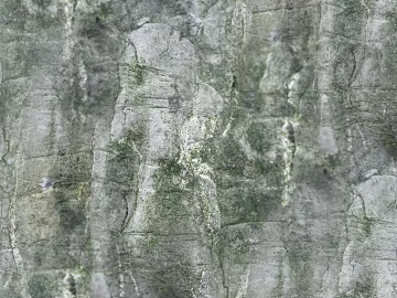 Rock Light Rock Seamless texture (ID:ffagg67763)