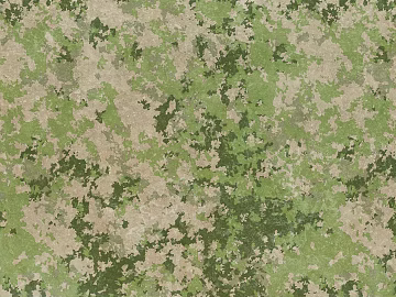 Camouflage texture (ID:ffach029515)