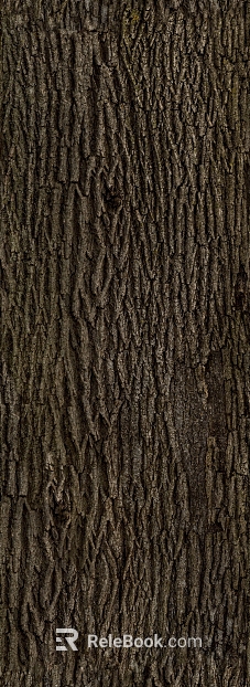 bark texture