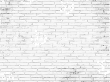 Black and White Bump 3d model