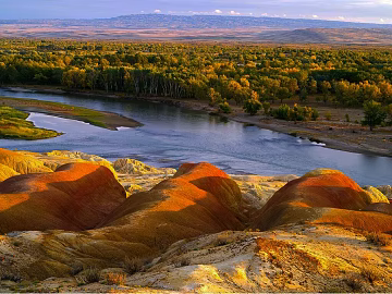Wild Scenery texture (ID:ffacg05350)