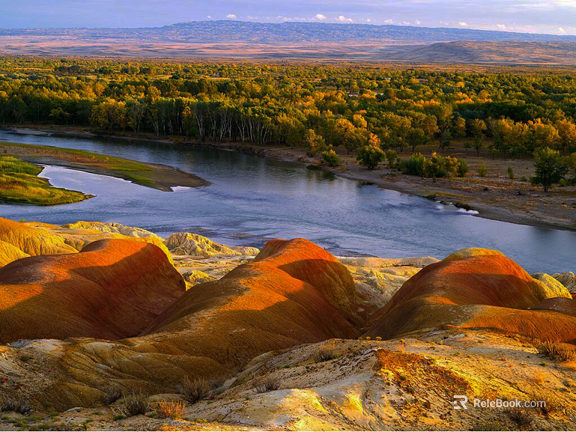 Wild Scenery texture