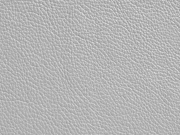 Coarse-grain leather 3d model