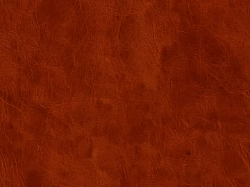 Coarse-grain leather texture (ID:ffagg02041)