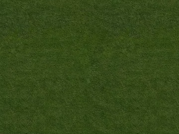 Turf texture (ID:ffaef3288)