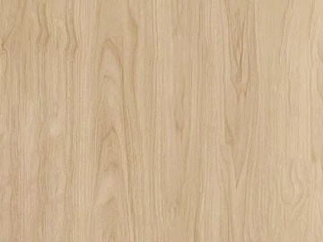 Modern North American Walnut 3d model