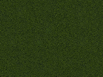 Turf texture (ID:ffajg06733)