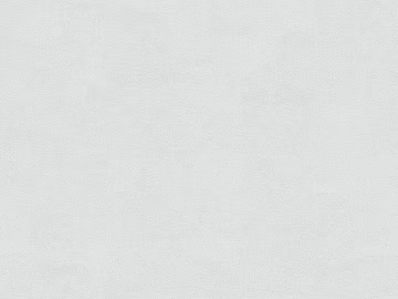 plain cloth texture (ID:ffaag12479)