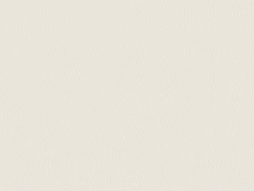 fine grain leather texture (ID:ffacg69291)