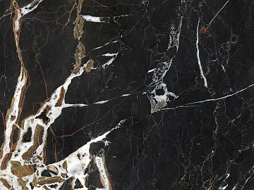 Black Golden Flower Marble texture (ID:ffach811290)