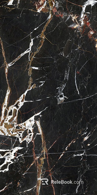 Black Golden Flower Marble texture