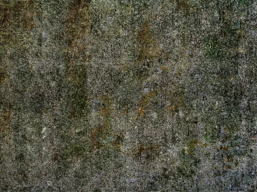moss texture (ID:ffaag57031)