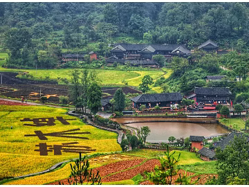 Pastoral scenery texture (ID:ffaag08518)