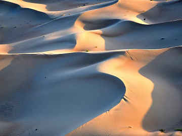 Desert texture (ID:ffagg21148)