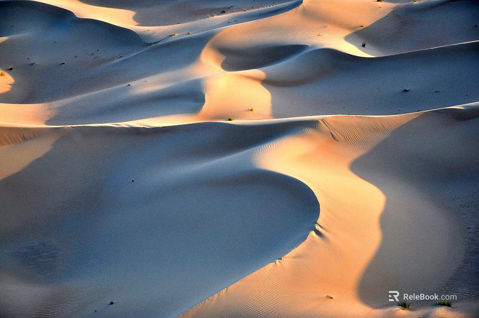 Desert texture