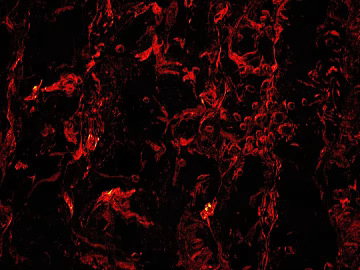 Flame texture (ID:ffaeg57118)