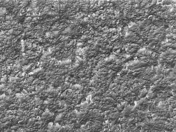 Black and White Bump texture (ID:ffabg30406)