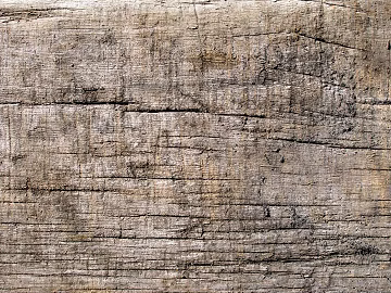 Wood grain texture (ID:ffacg43150)