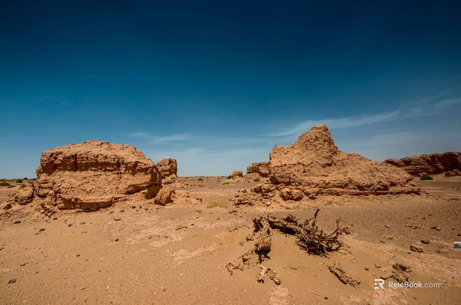 Wild Scenery texture