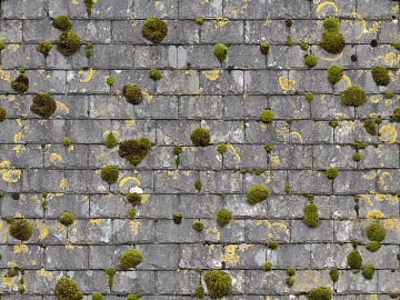 Roof material texture (ID:ffhee513)