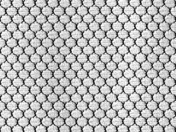 Black and White Bump texture (ID:ffajg12360)