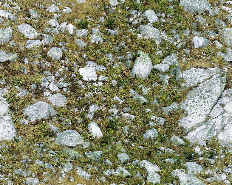 Sand texture