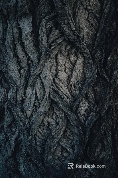 bark texture