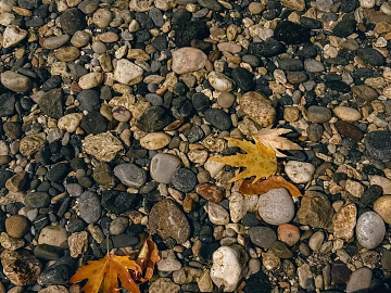 Pebbles texture (ID:ffagg22965)