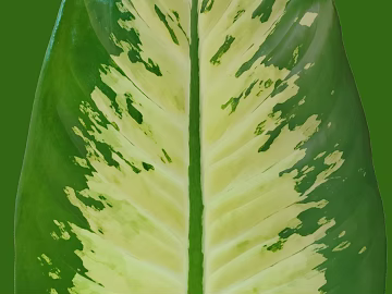 leaves texture (ID:ffaag61661)