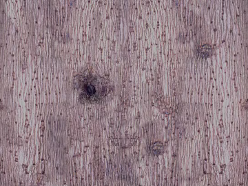 bark texture (ID:ffaaf5052)