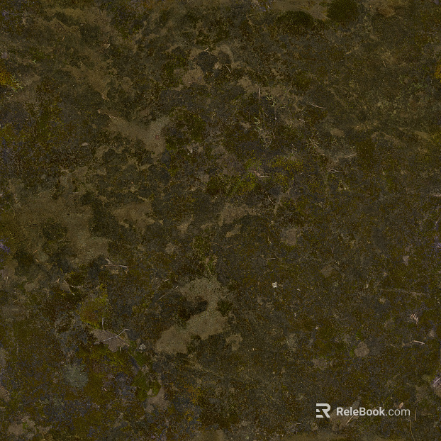 grassland soil wetland ground texture