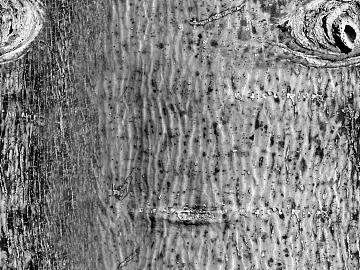 Black and White Bump texture (ID:ffaag42994)