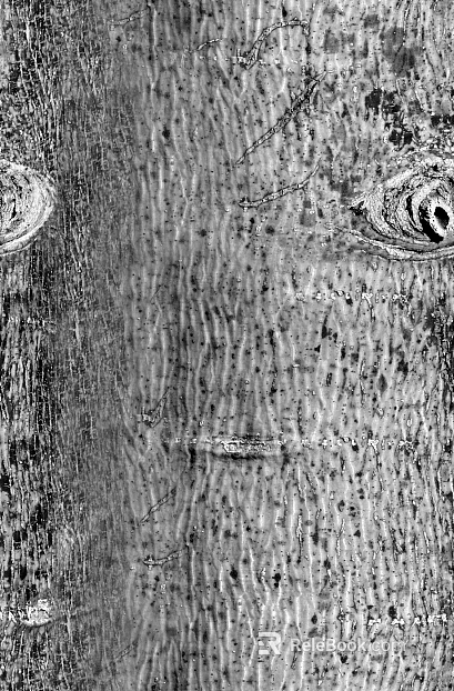 Black and White Bump texture