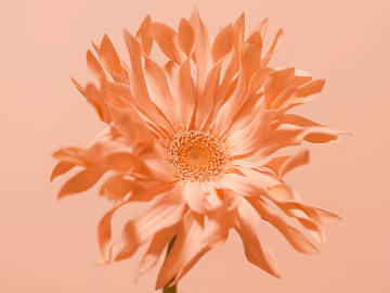 Flowers texture (ID:ffabg27427)