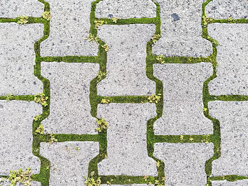 grass-planting brick texture (ID:ffach640638)