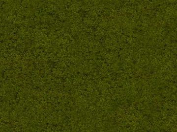 Turf texture (ID:ffaag12756)