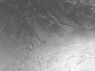 Silver foil texture (ID:ffacg37106)